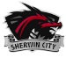 Sherwin City players