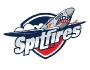 Spitfires players