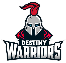 Destiny Warriors players
