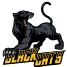 Blackcats players